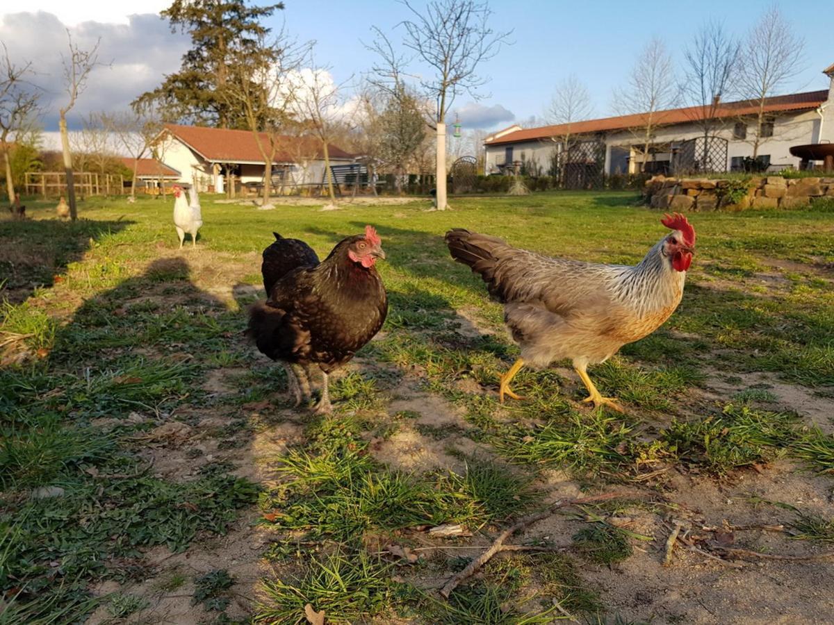 Chateau Des Perichons Poncins Eksteriør billede