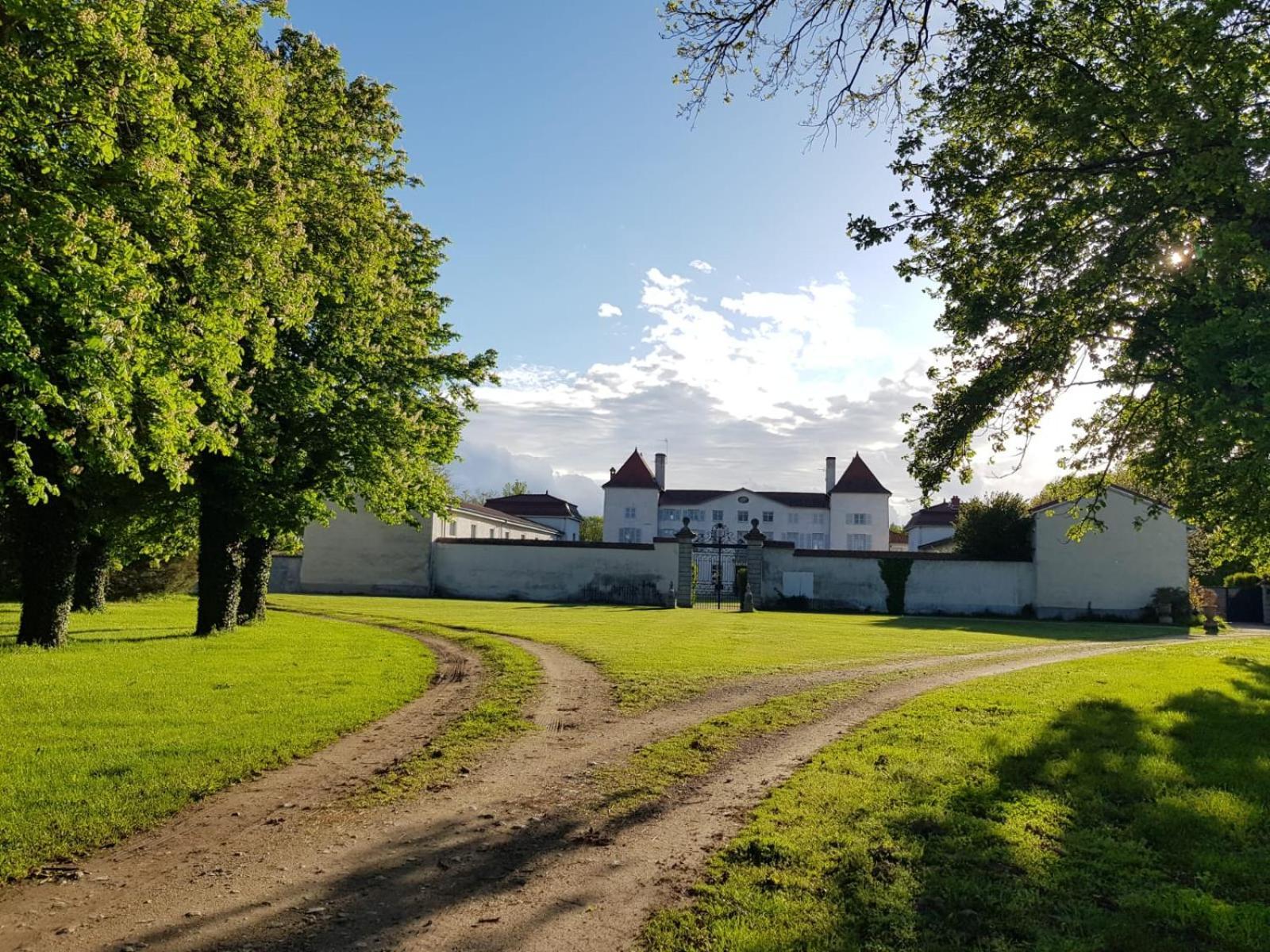 Chateau Des Perichons Poncins Eksteriør billede